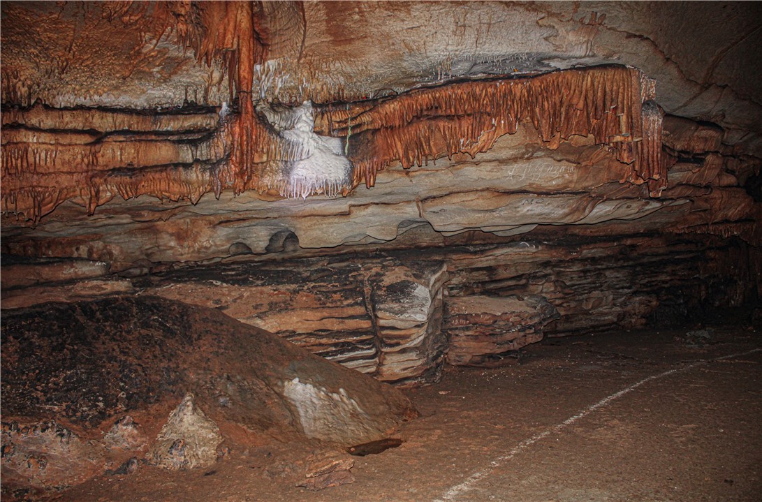Image 24