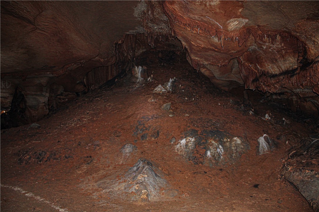 Image 27