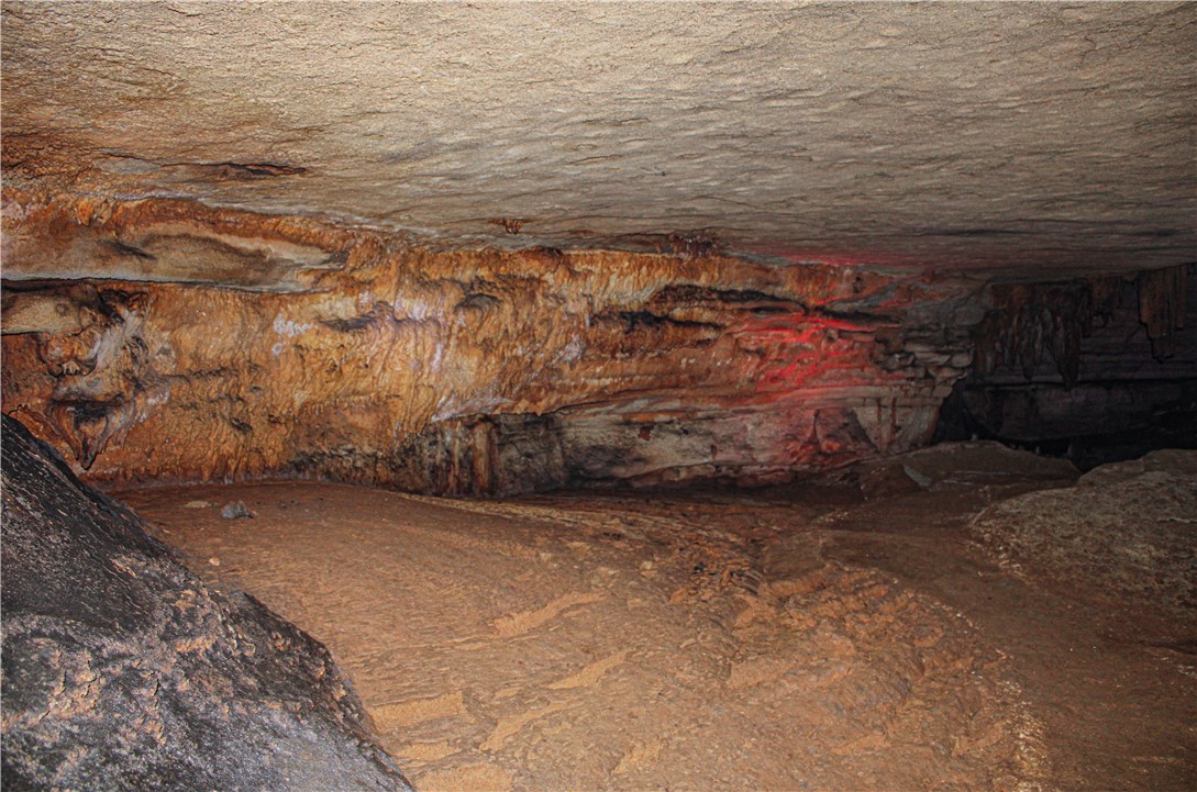Image 31