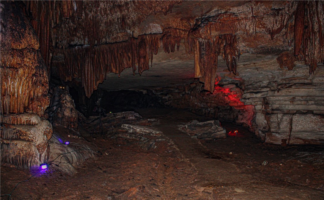 Image 9
