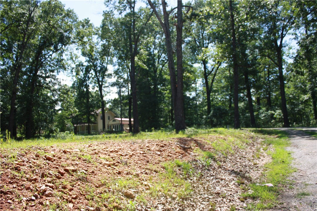Image 13