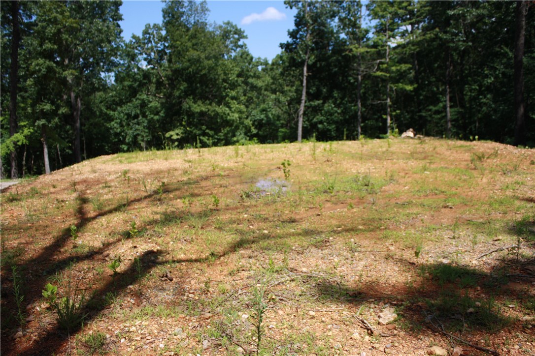 Image 14
