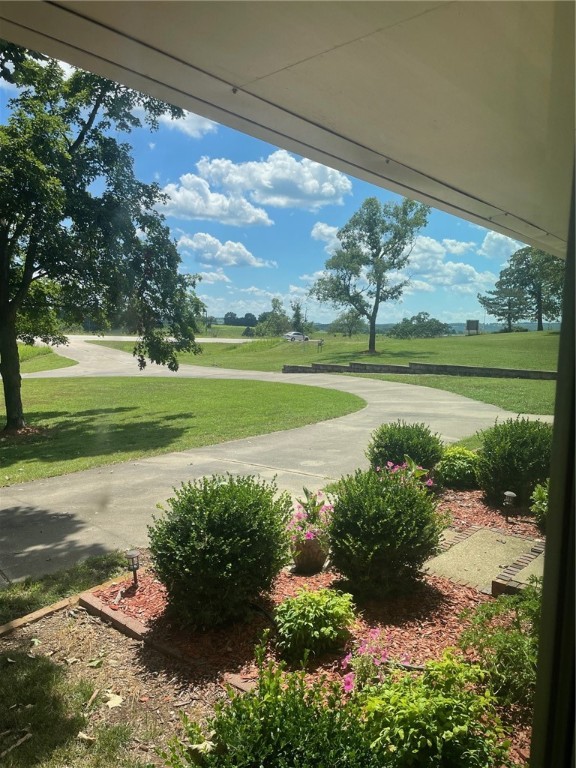 Image 19