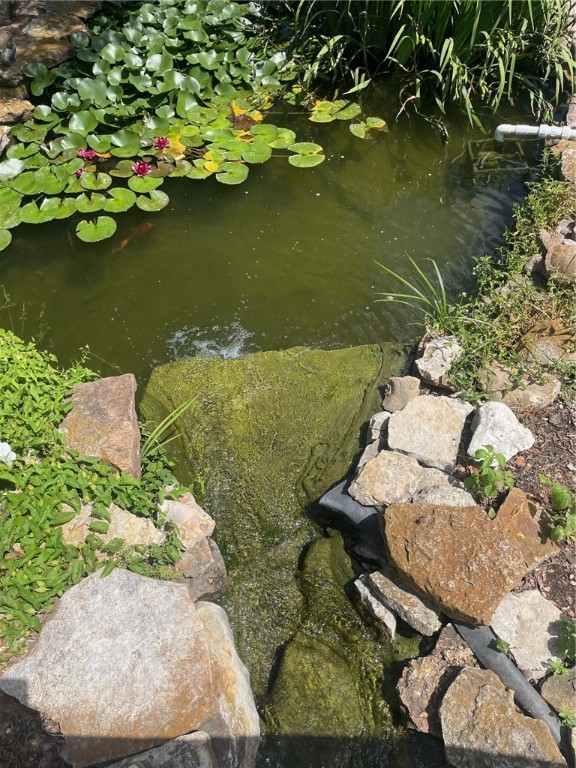 Image 24