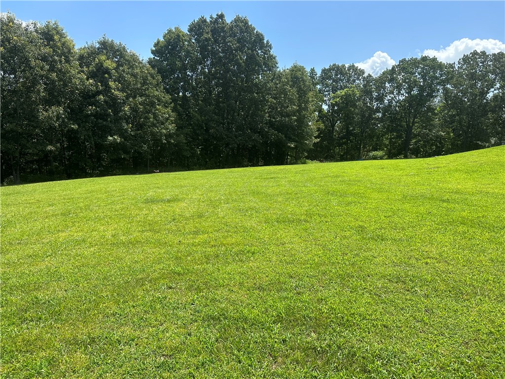 Image 15