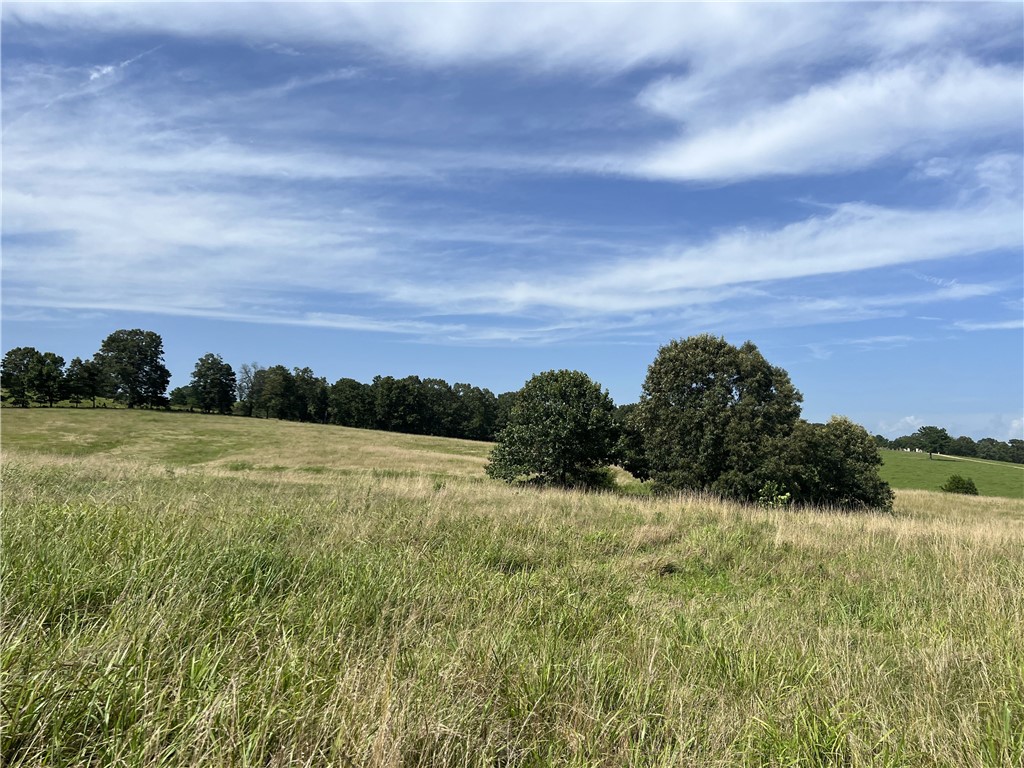 Image 45