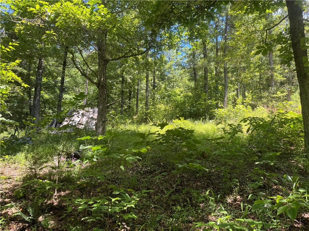 Image 13