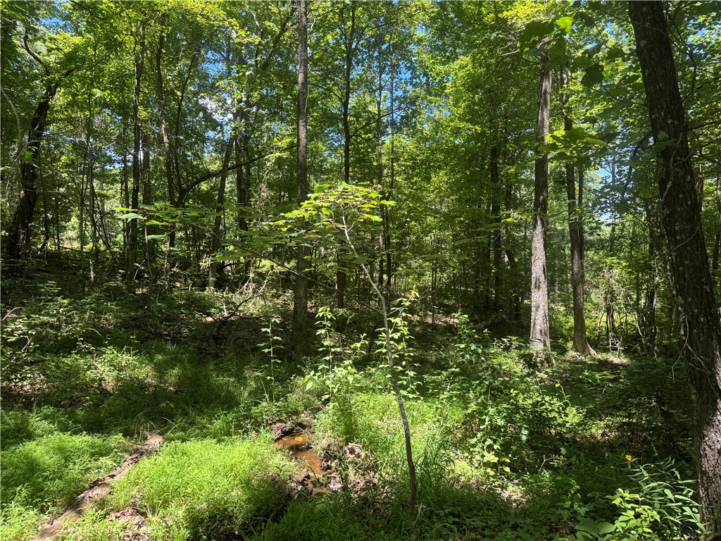 Image 14