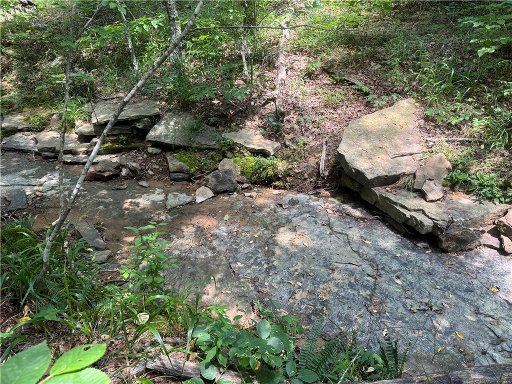 Image 9