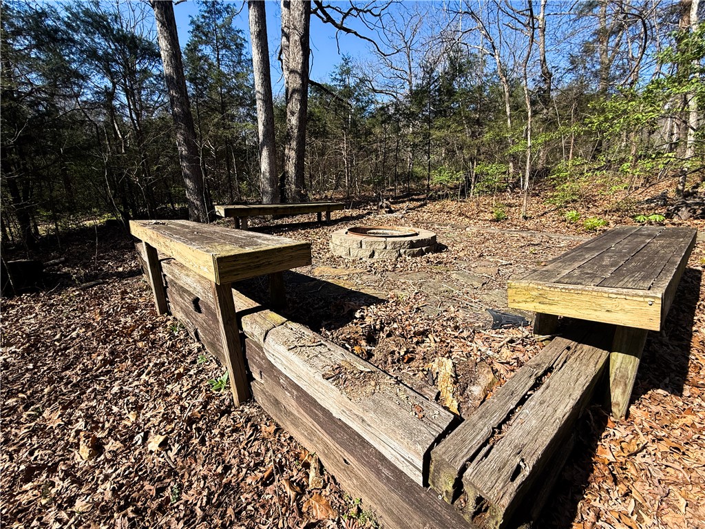 Image 46
