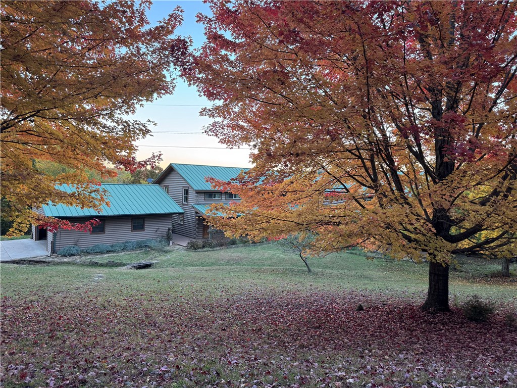 Image 53