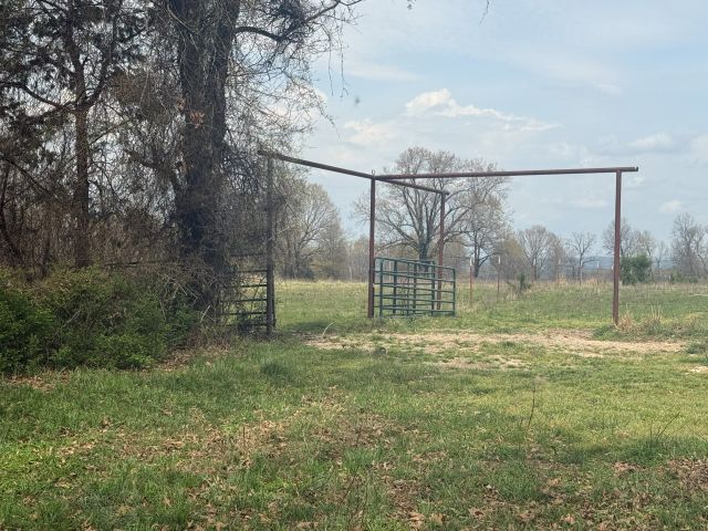 Image 10