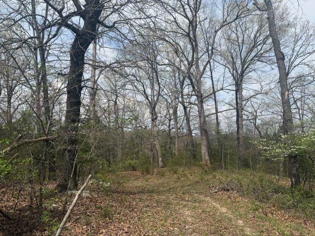 Image 13