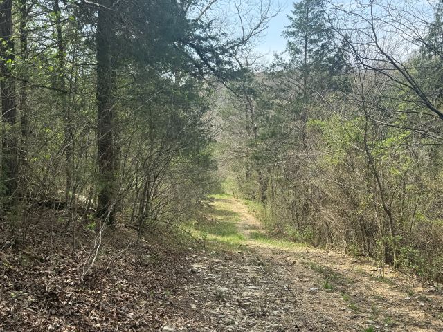 Image 14