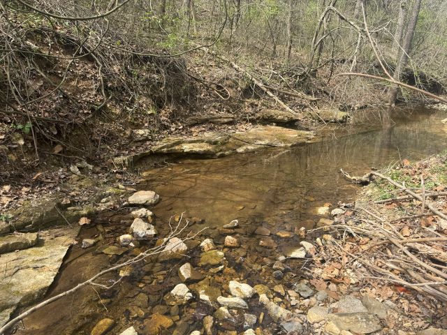 Image 15