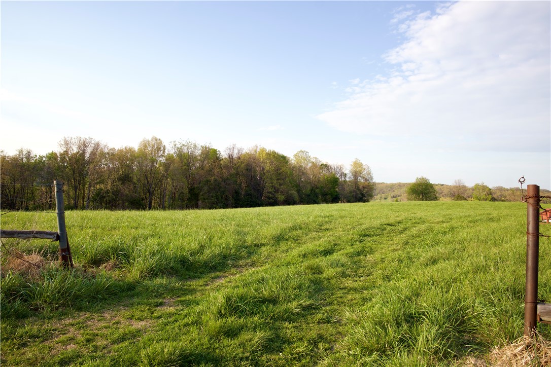 Image 13