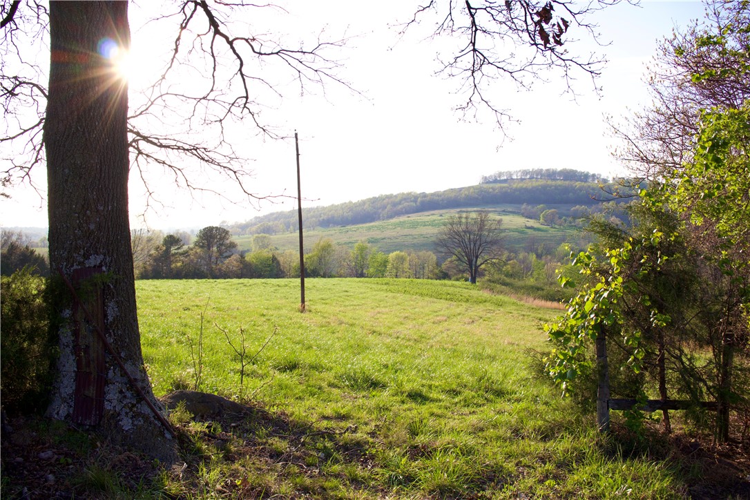 Image 15