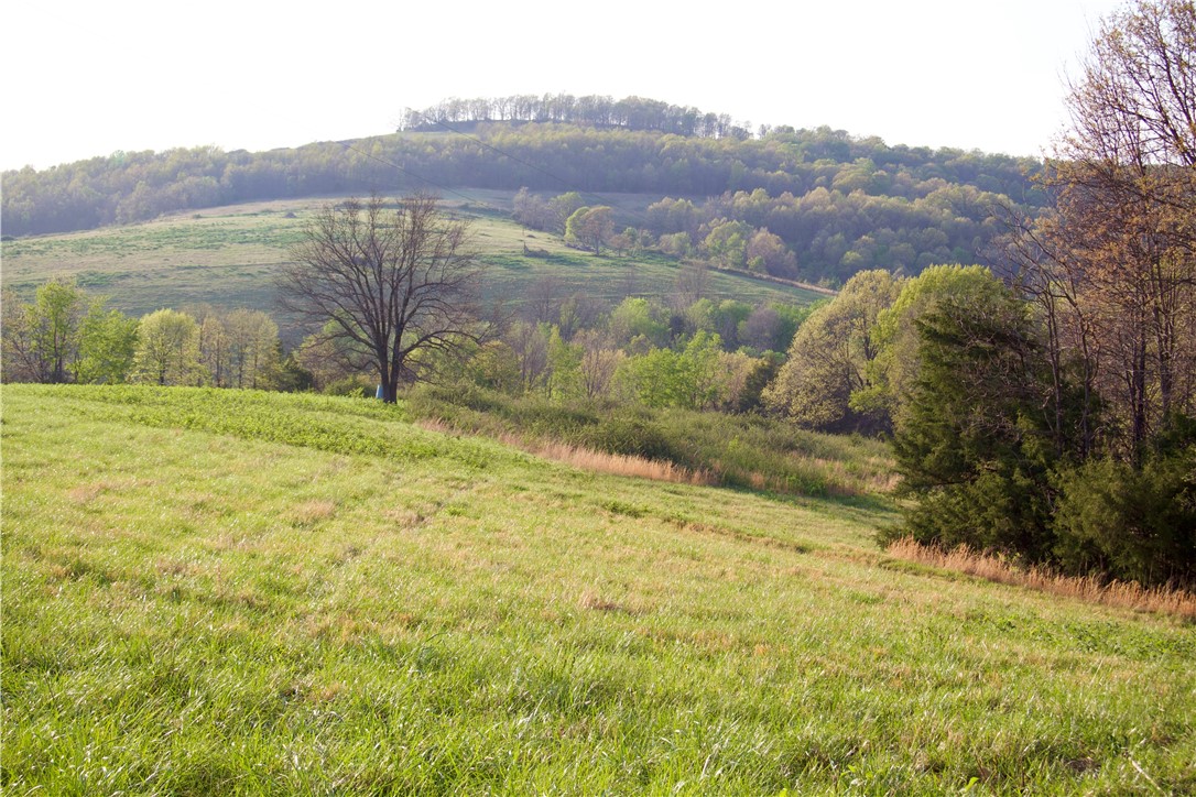 Image 16