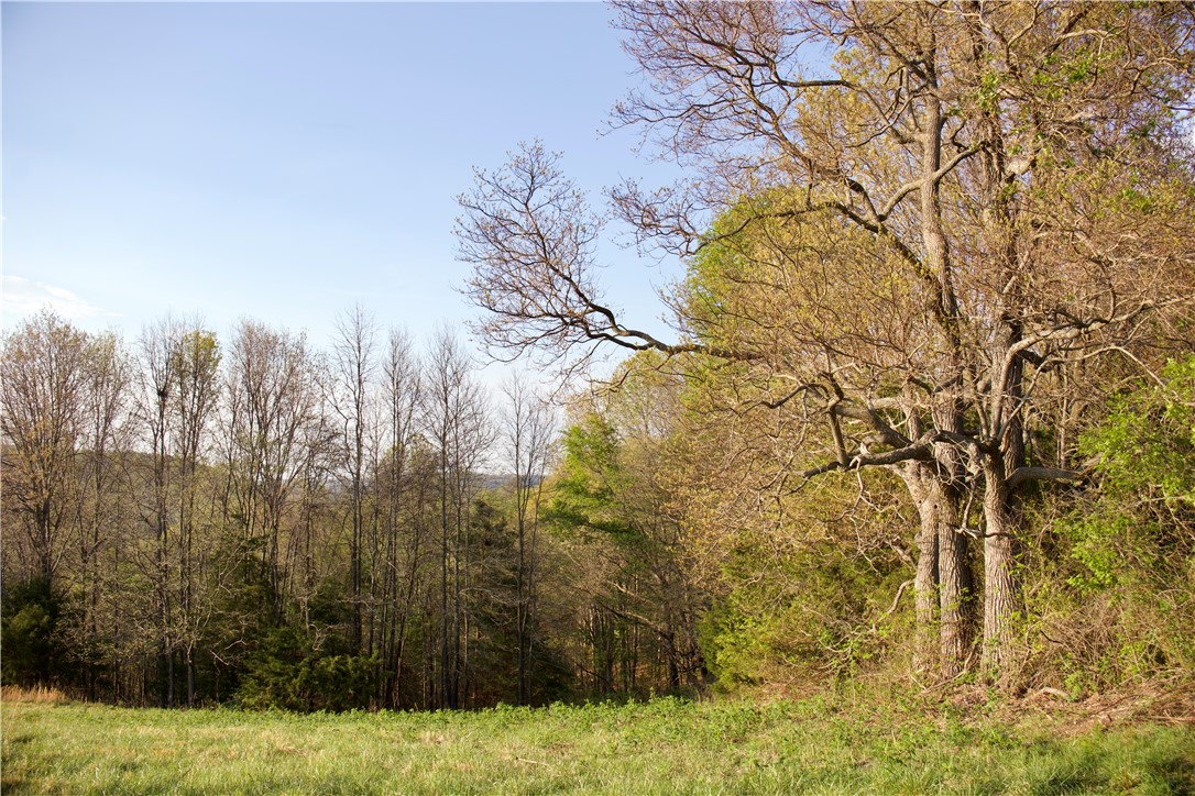 Image 17