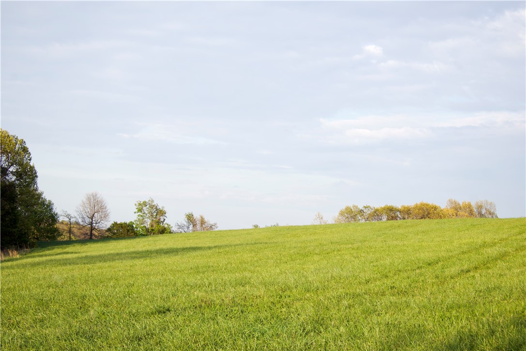 Image 18