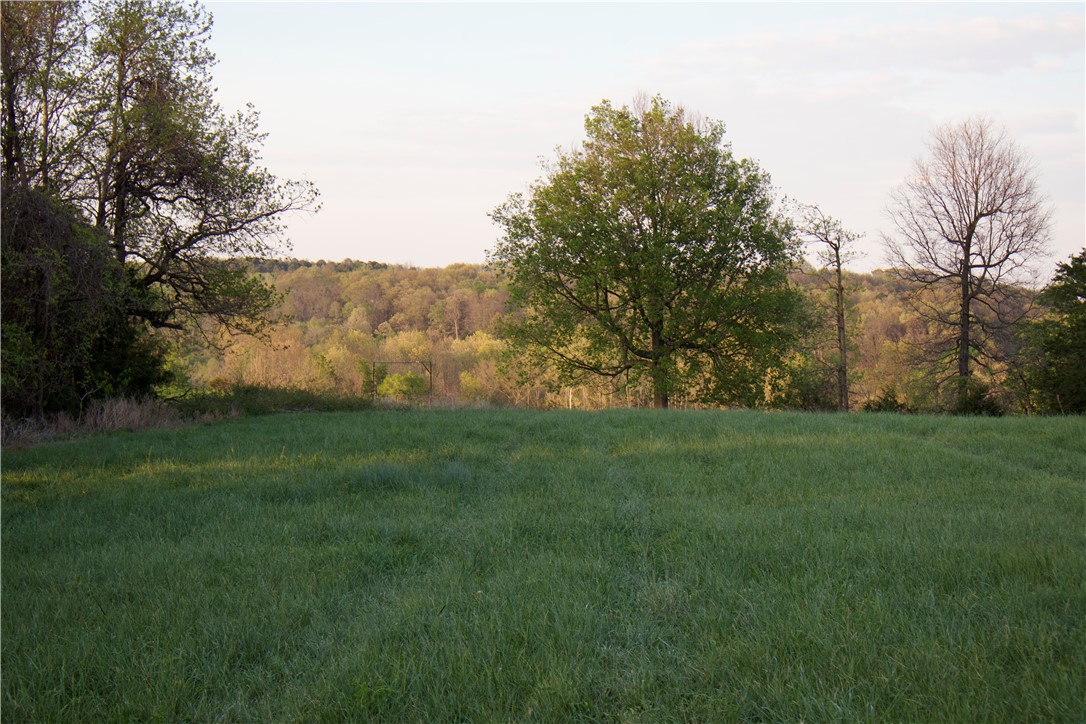 Image 27
