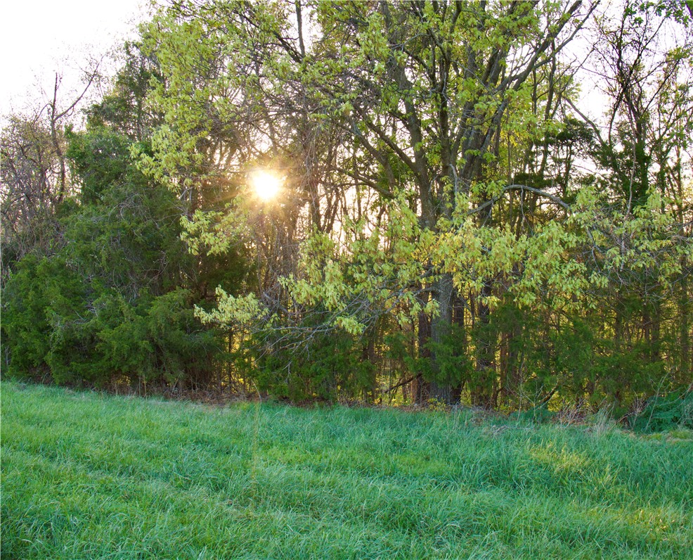 Image 28