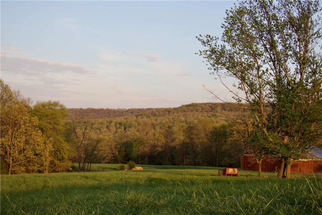 Image 32