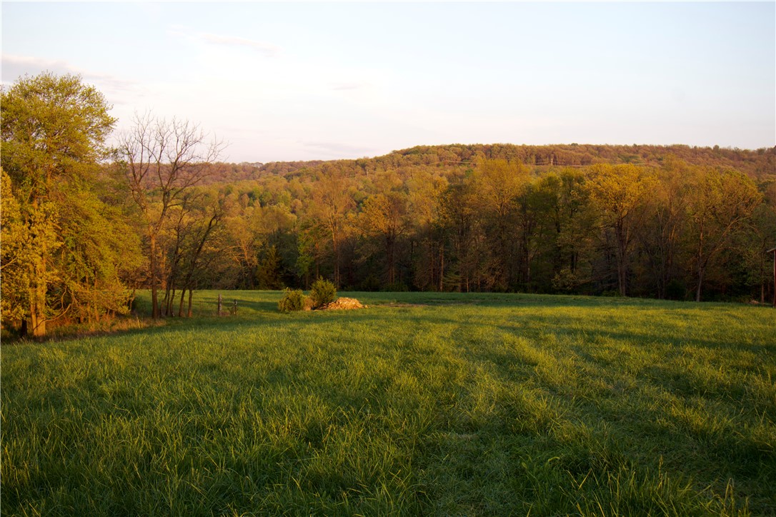 Image 36