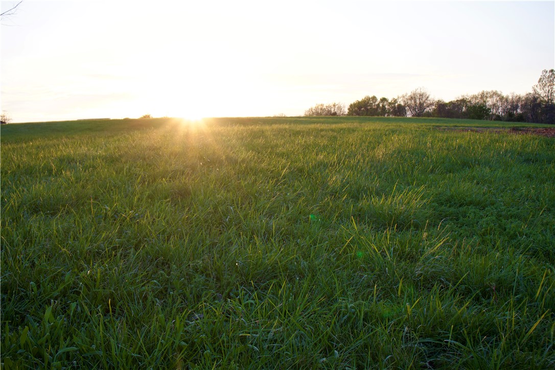 Image 37