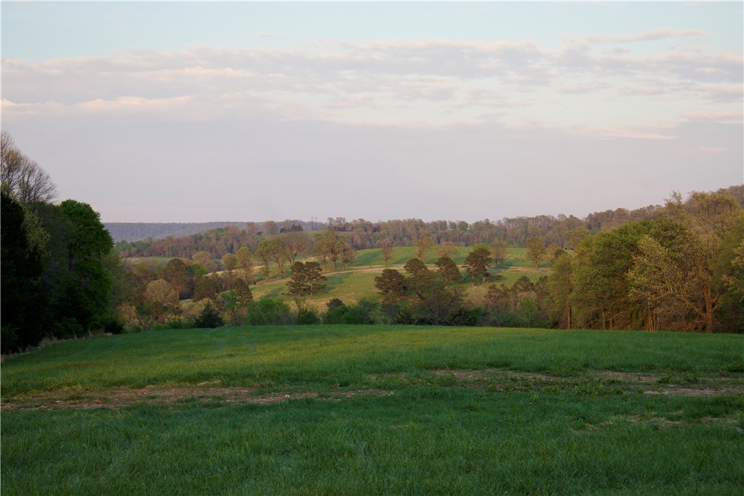 Image 38