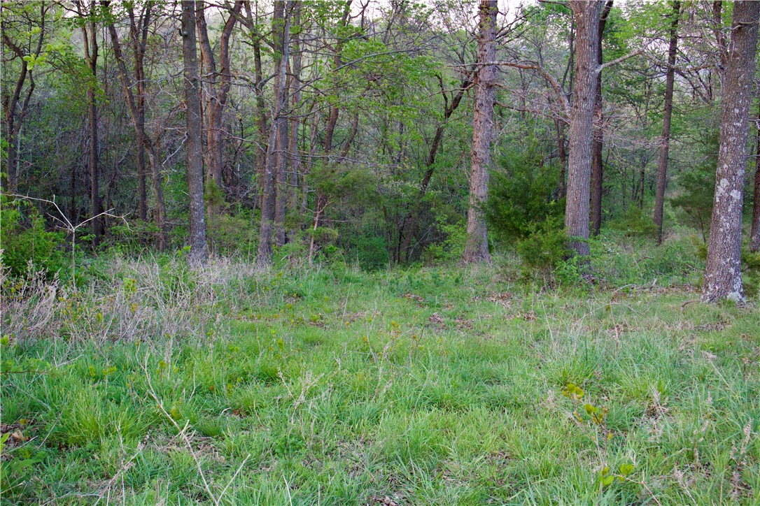 Image 39
