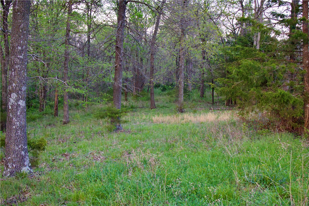 Image 40