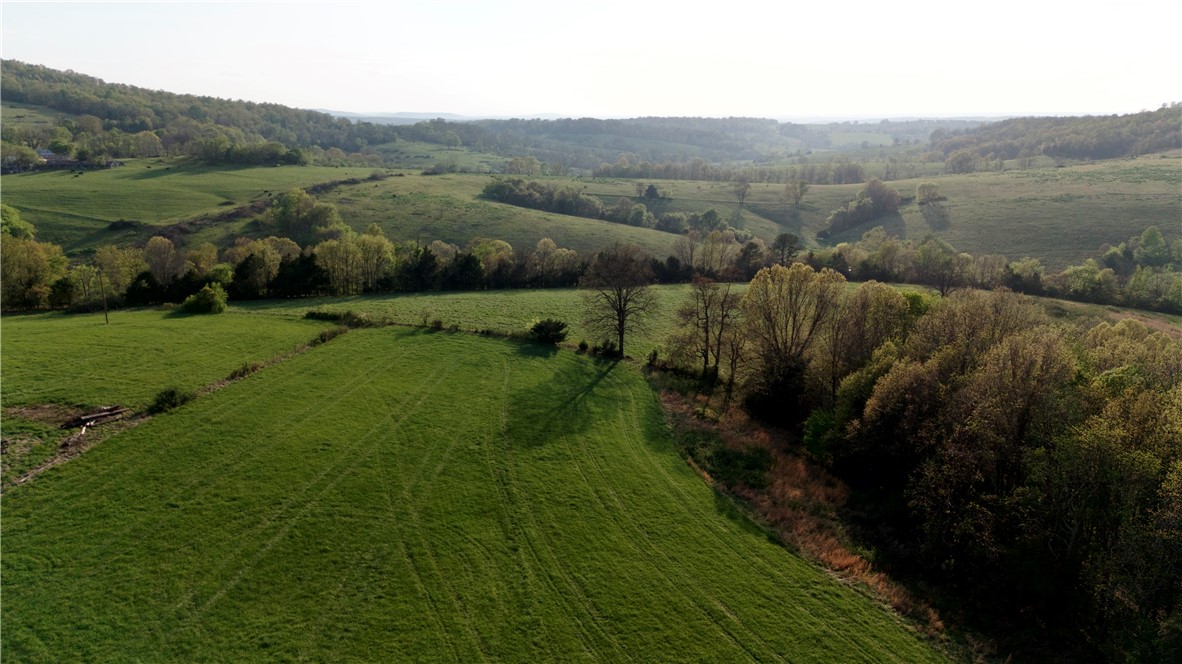 Image 59