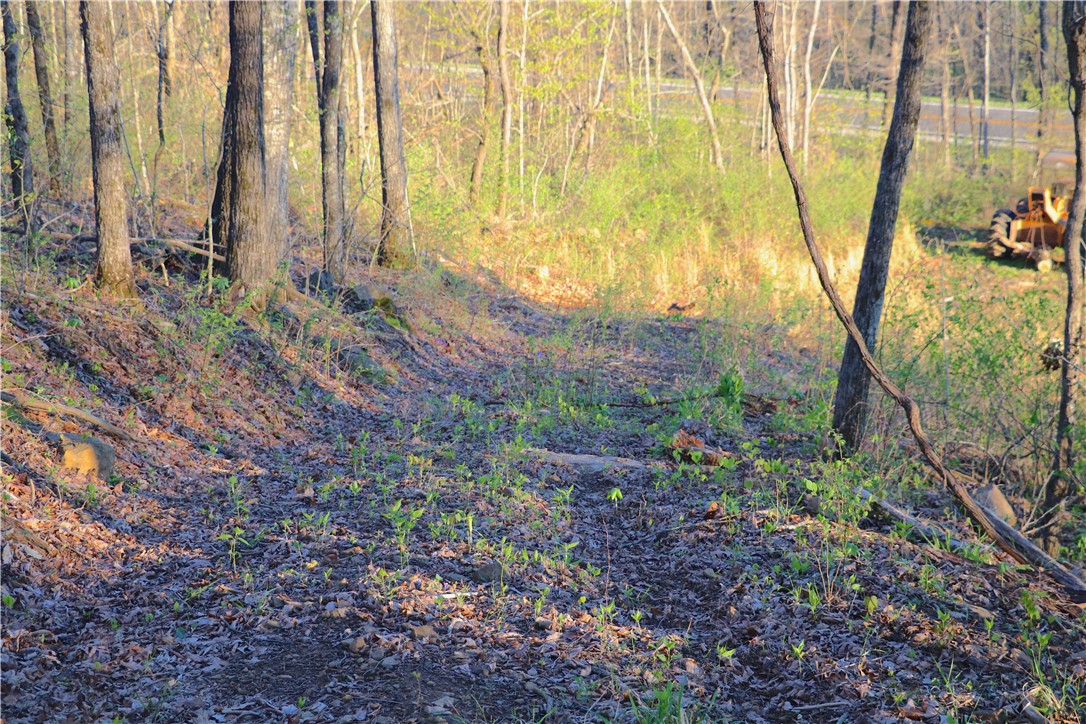 Image 19