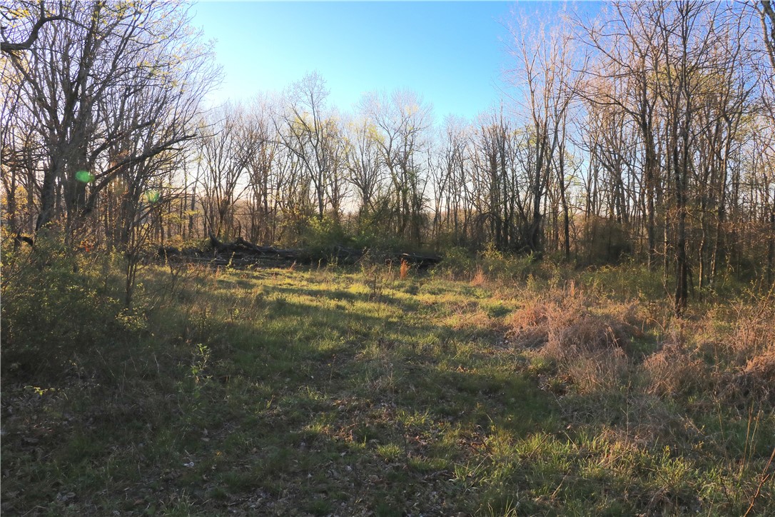 Image 20