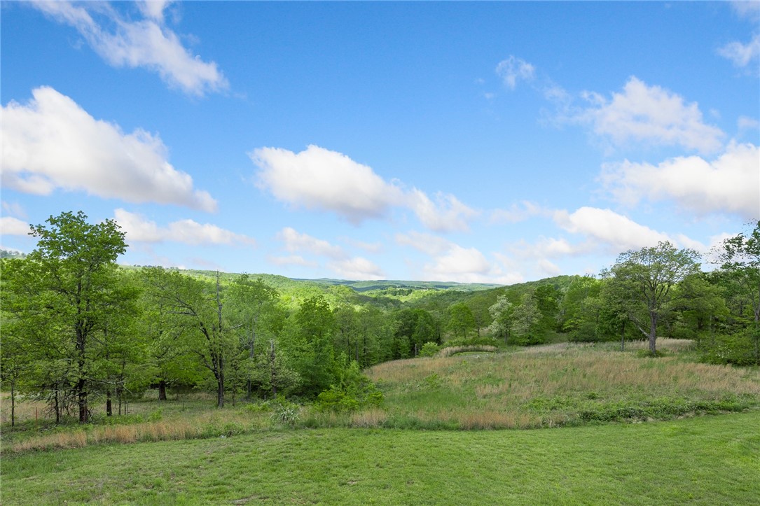Image 41