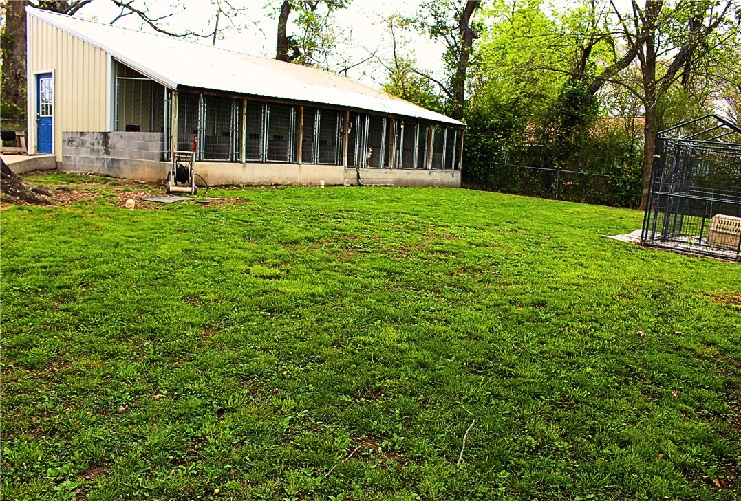 Image 15