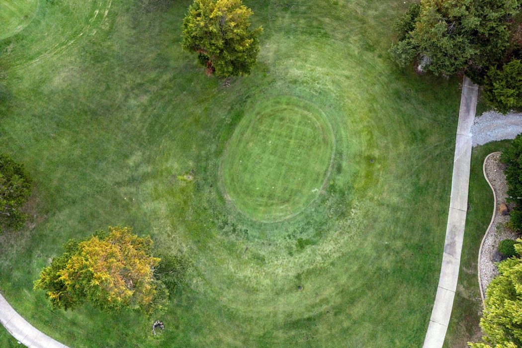 Image 54