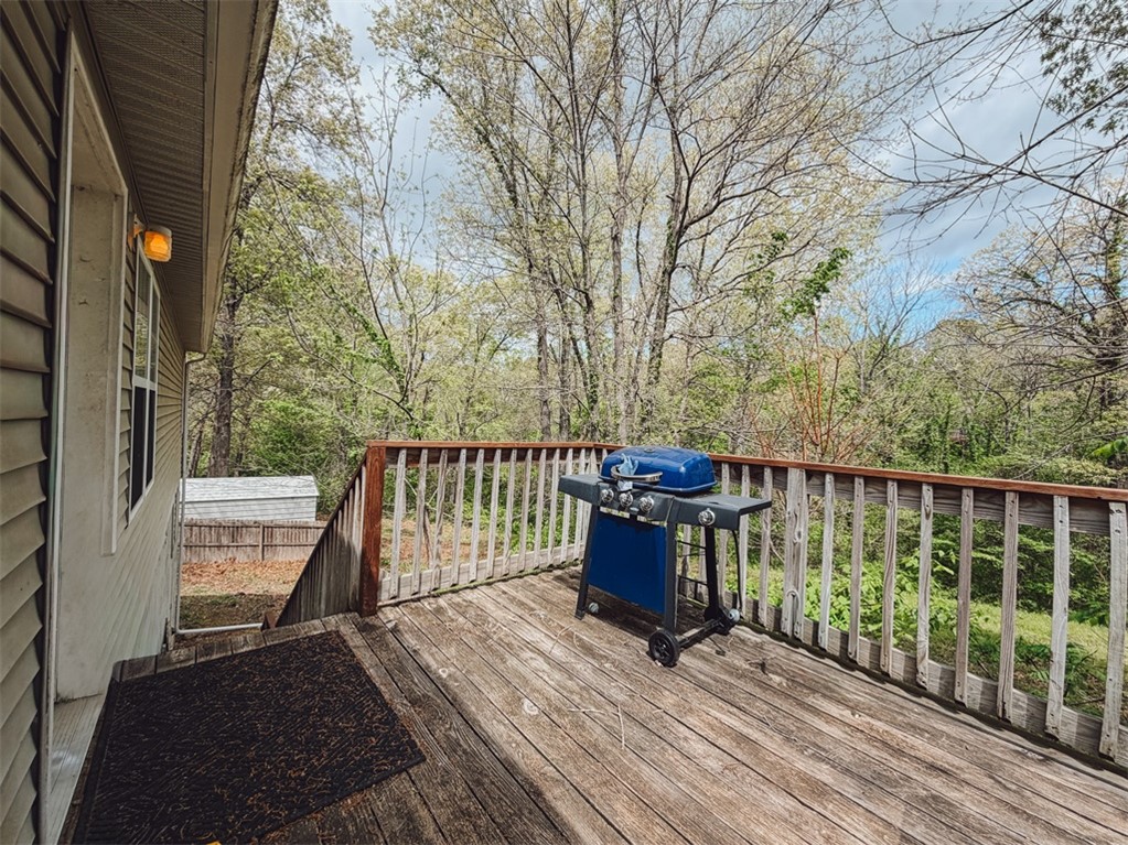 Image 19