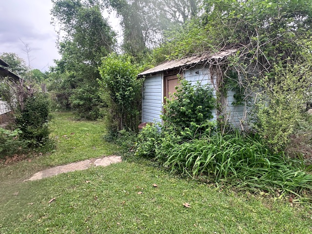 Image 19