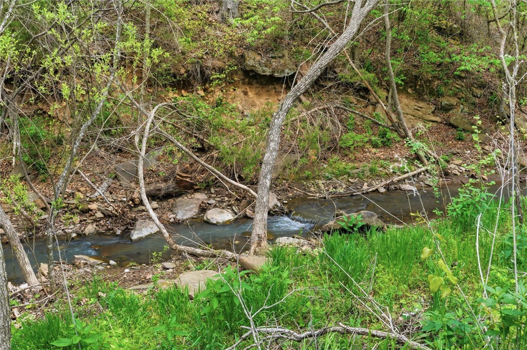 Image 19