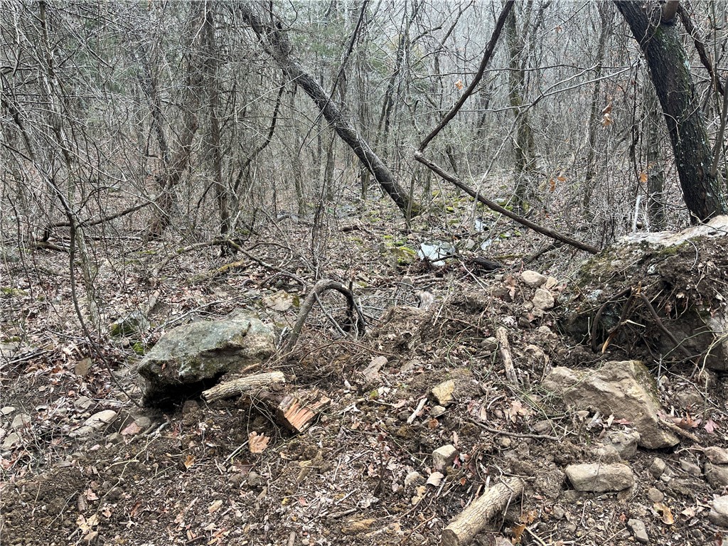 Image 11
