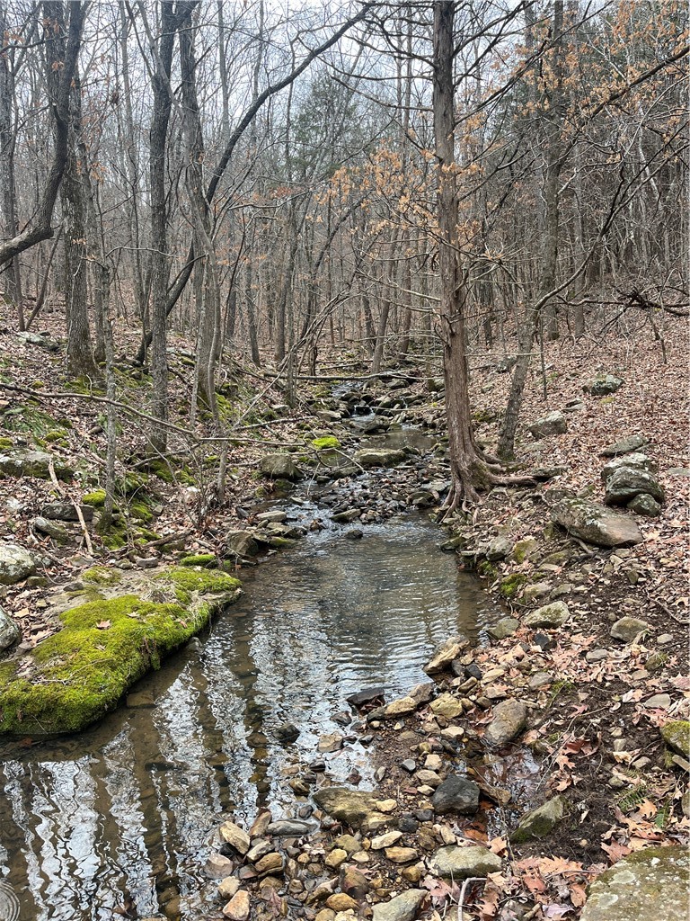Image 19