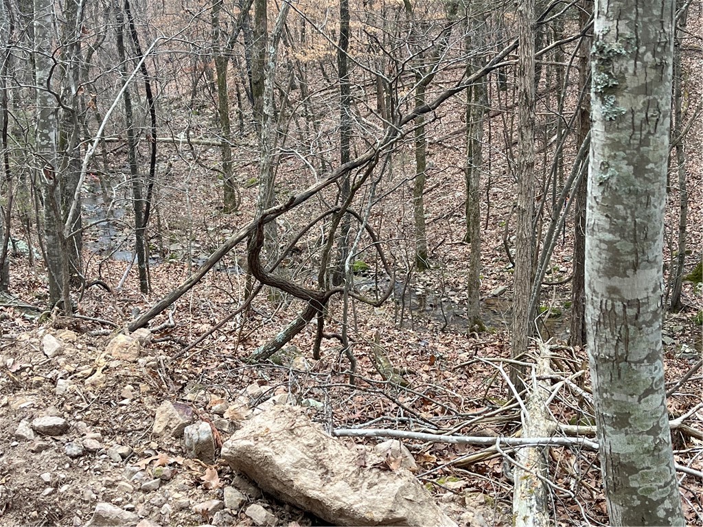 Image 8