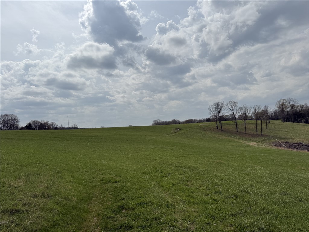 Image 15