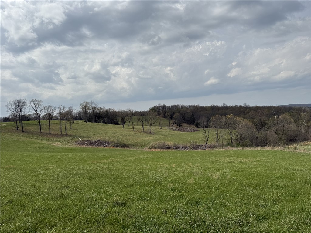 Image 43