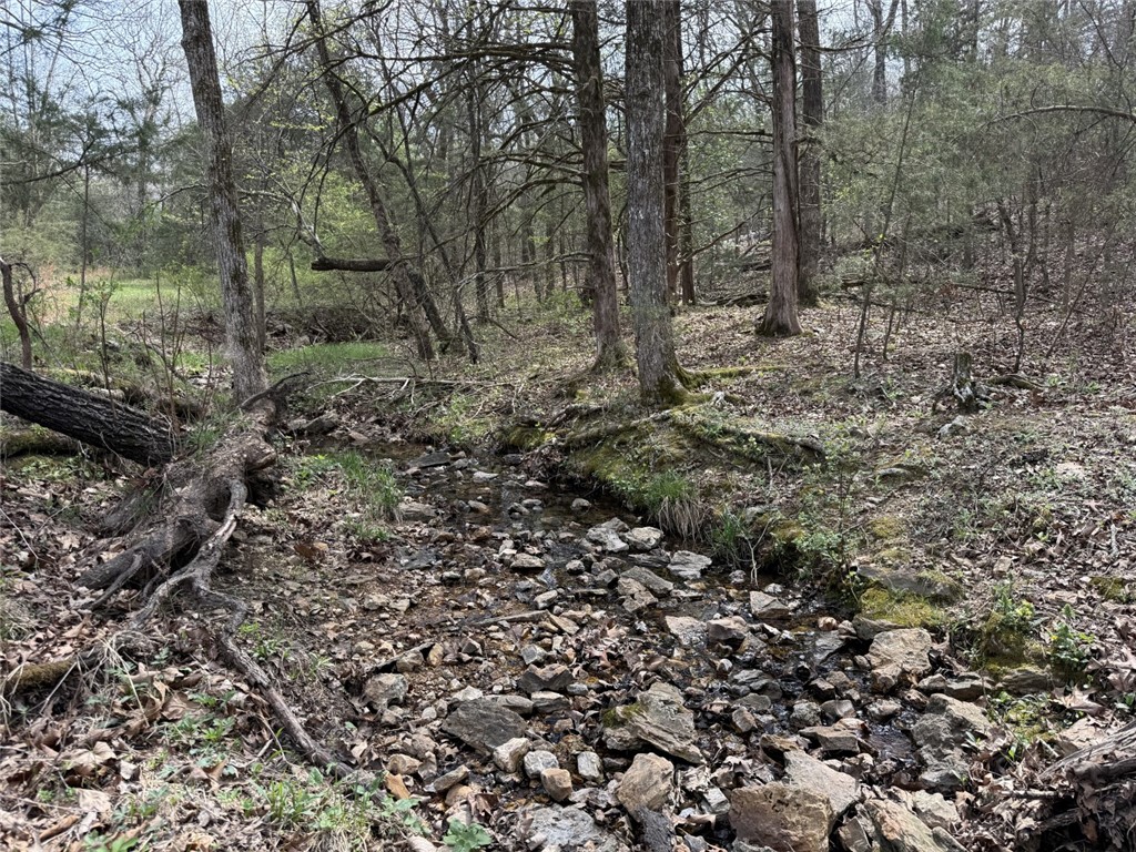 Image 46