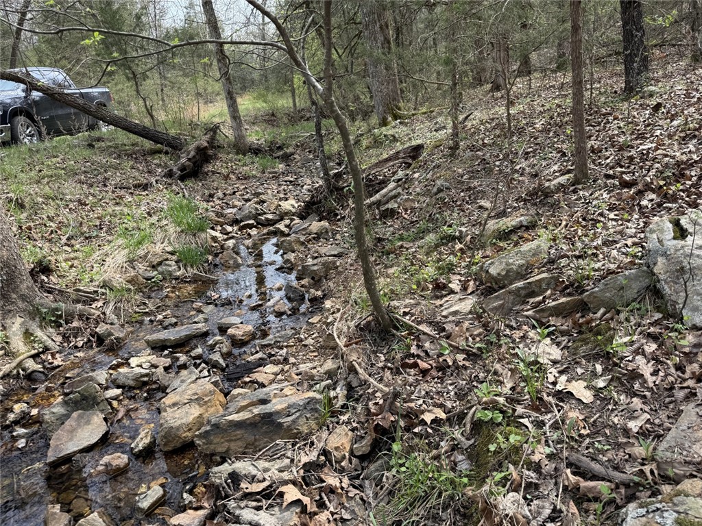Image 47
