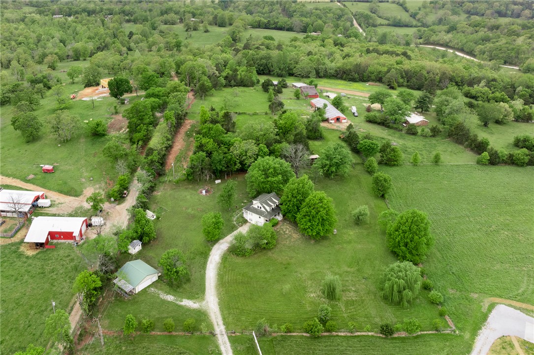 Image 41
