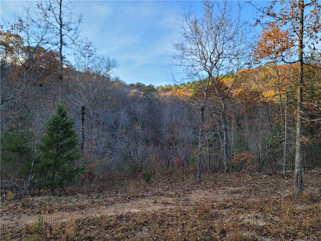 Image 12